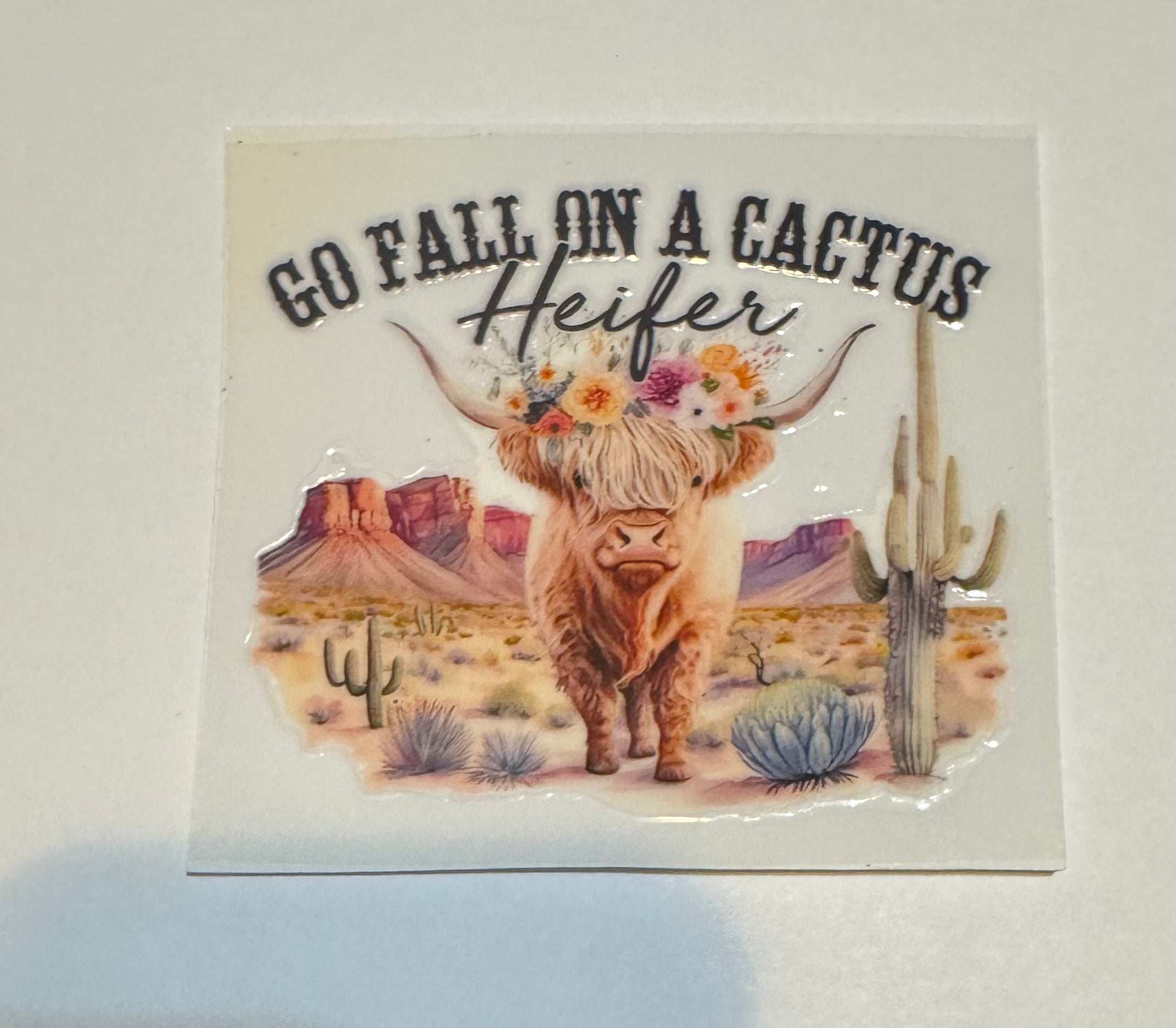 Fall on cactus