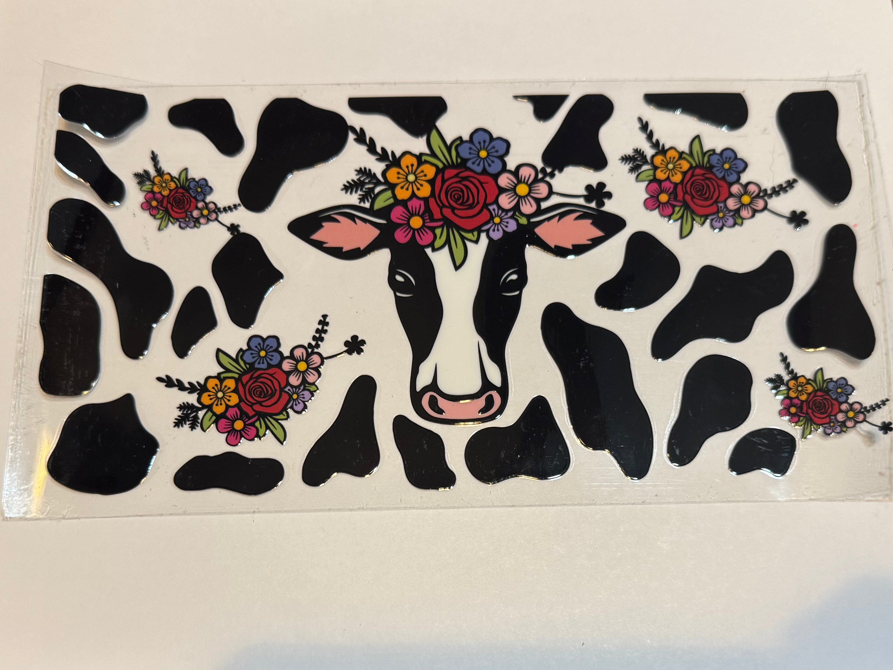 Black and White Cow