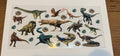 Dinosaurs