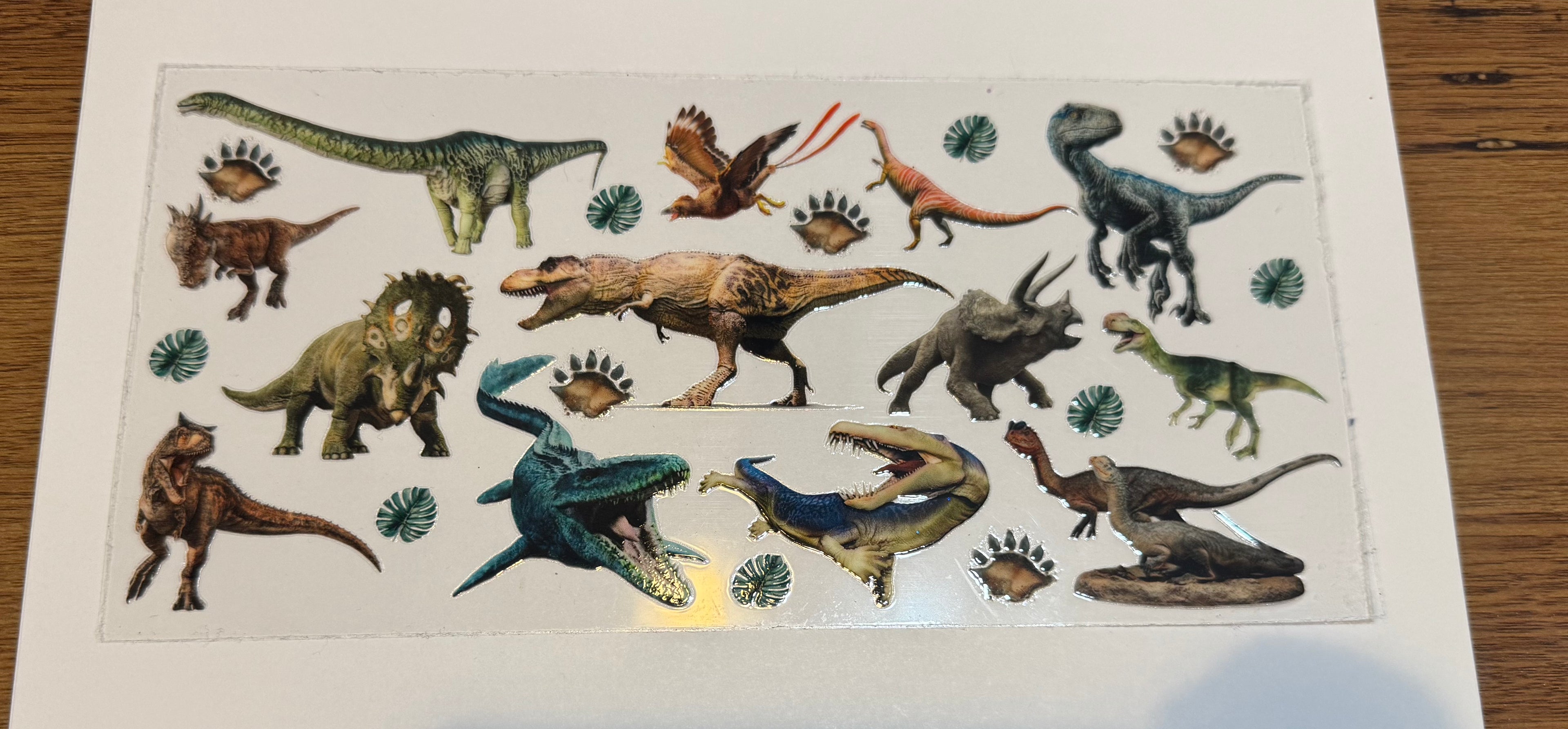 Dinosaurs