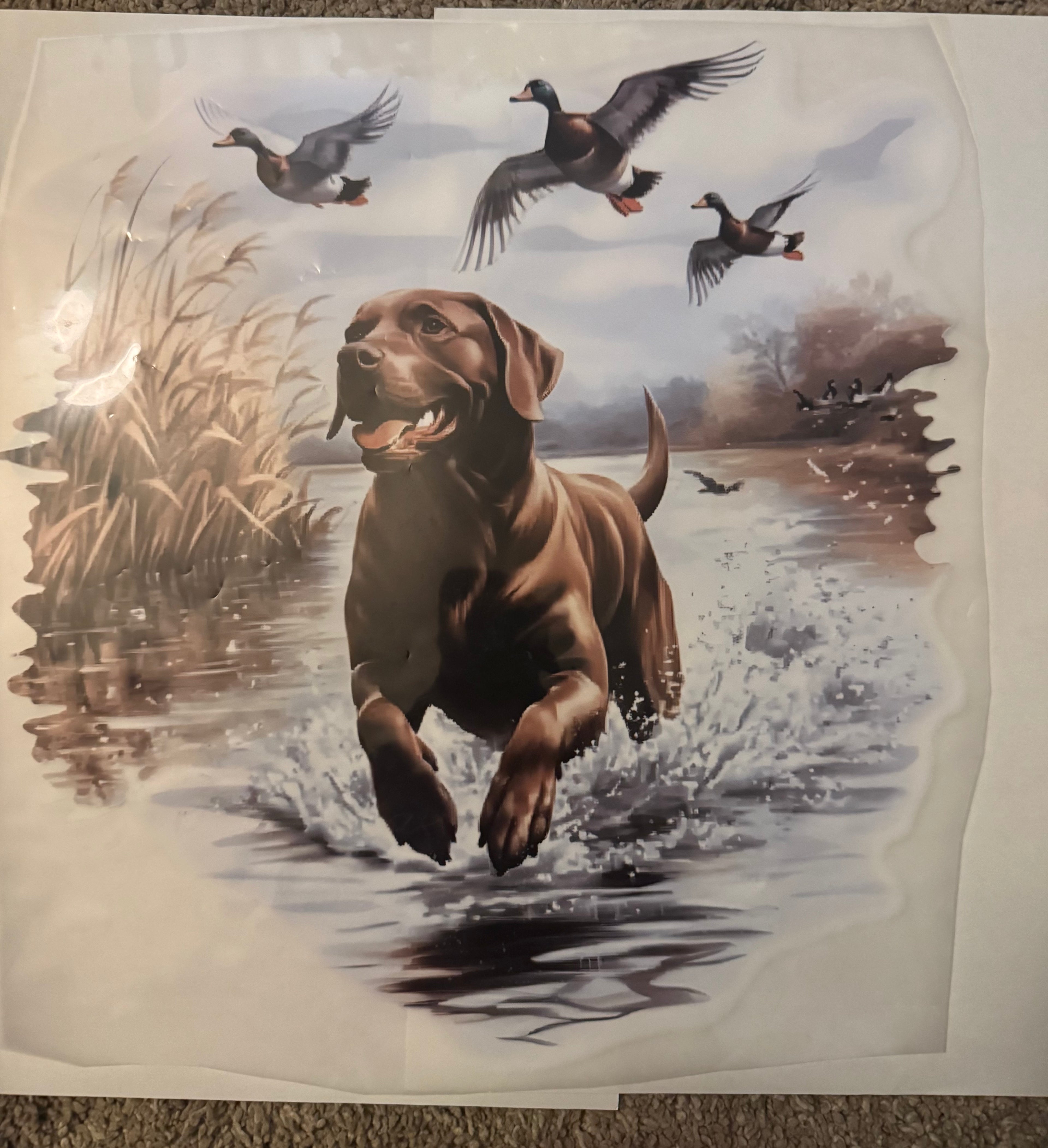 Duck hunting