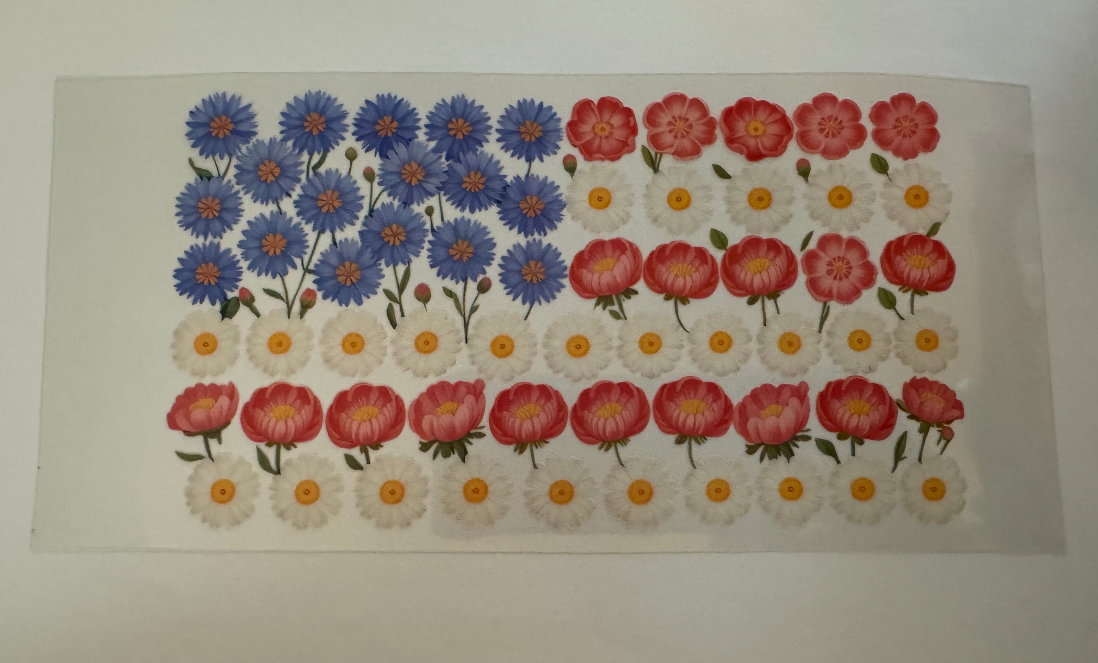 America flowers