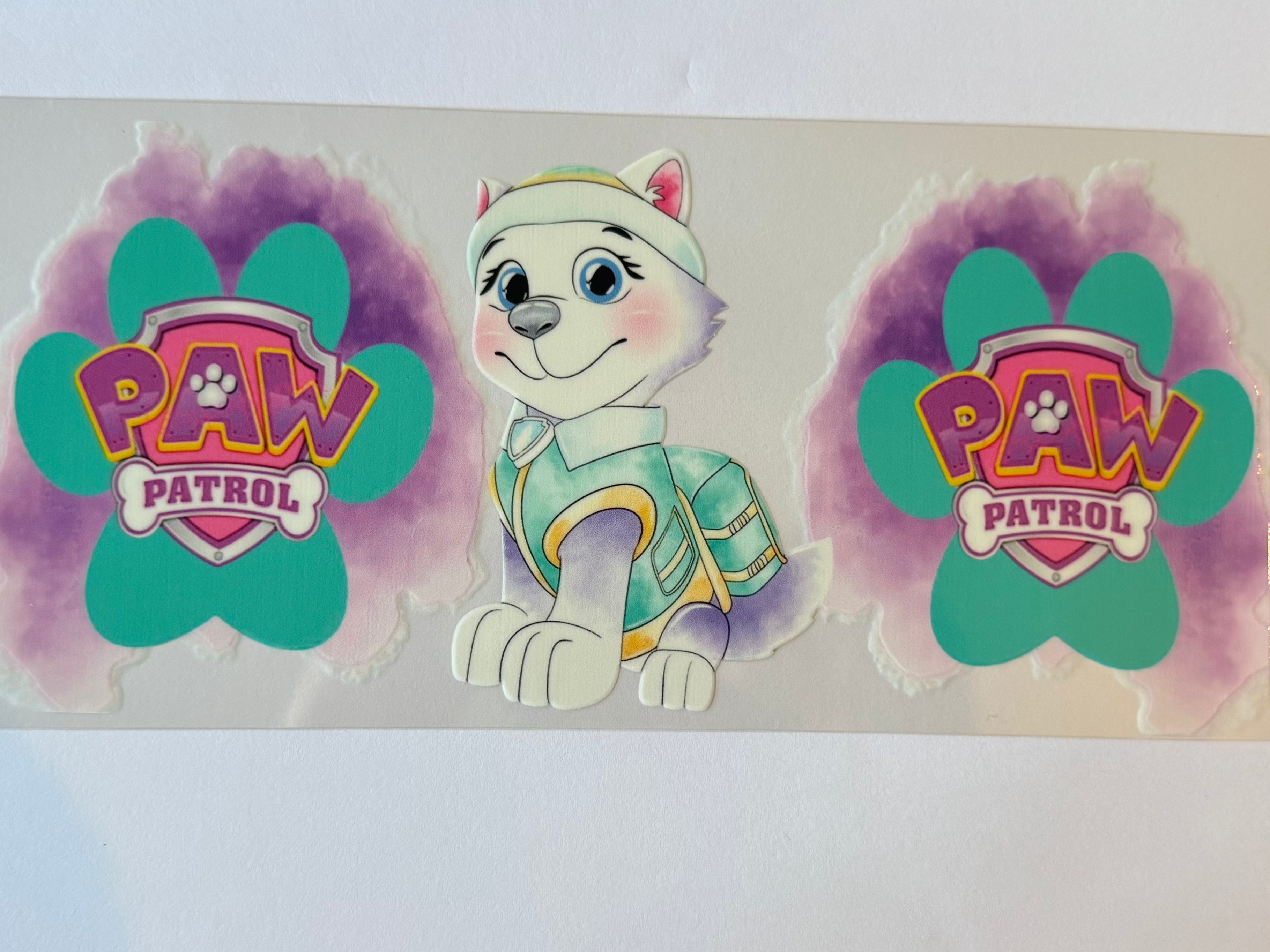 Everest Paw Patrol