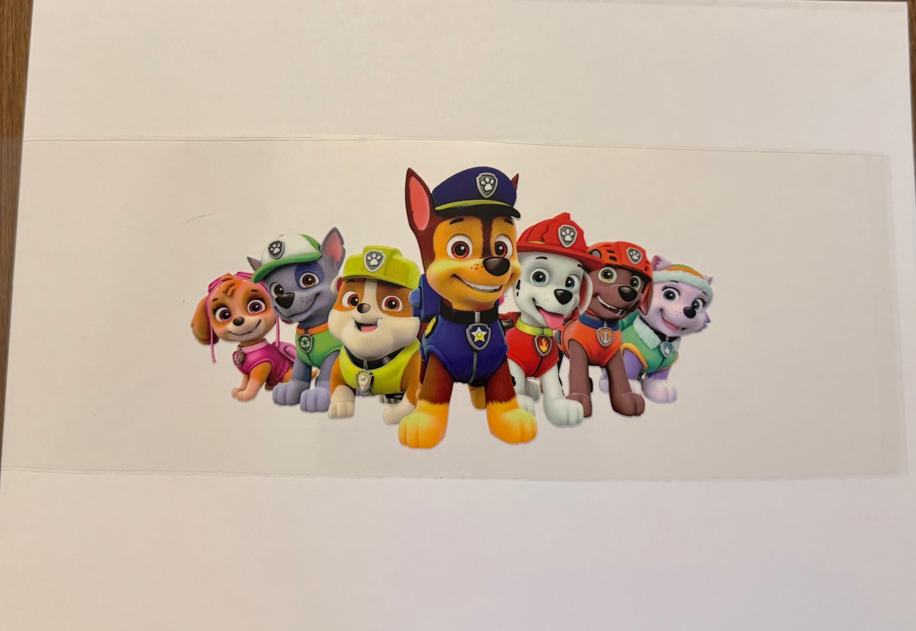 Paw patrol crew