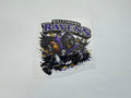 Baltimore ravens