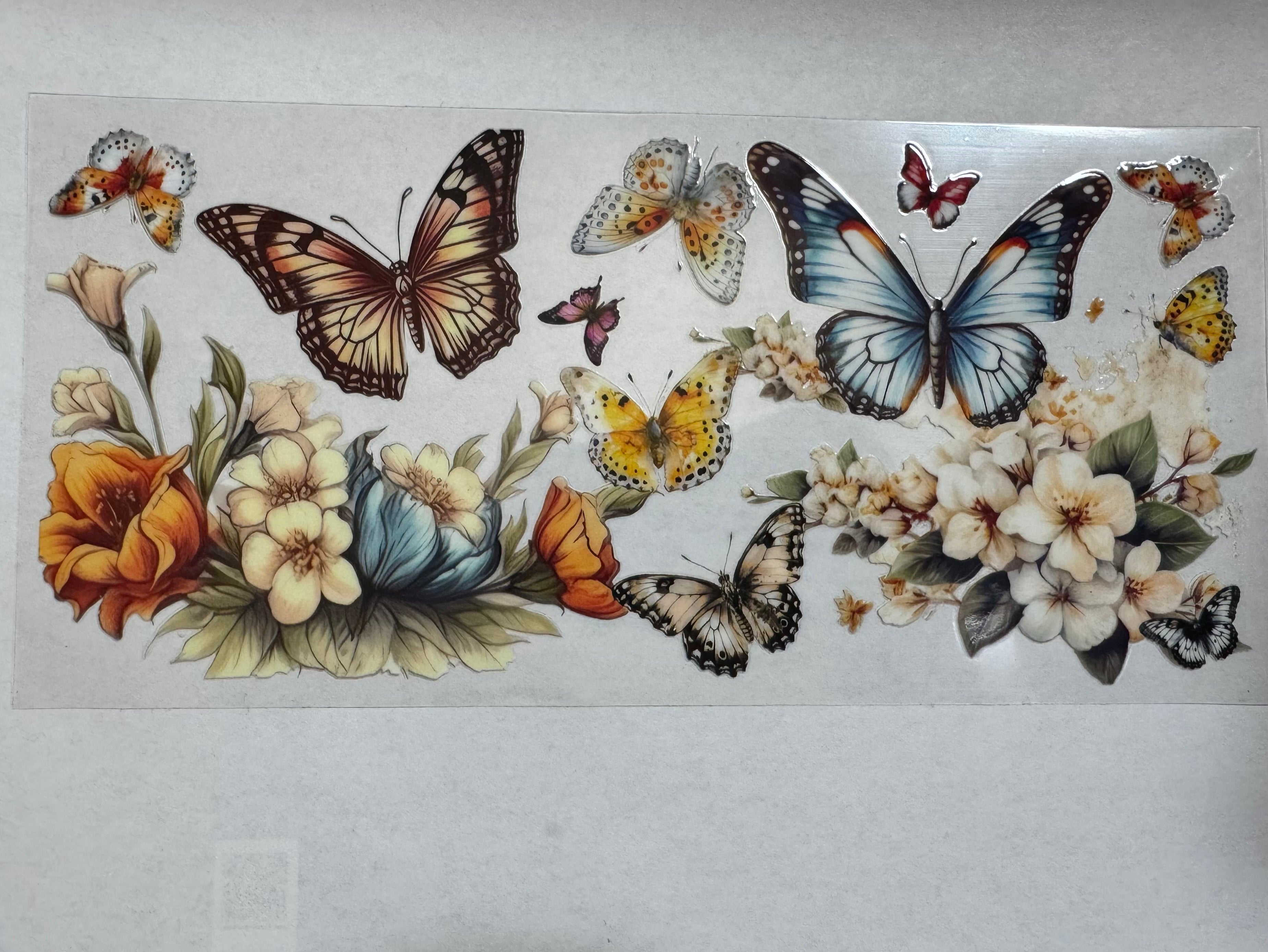 Butterflies and flowers 2