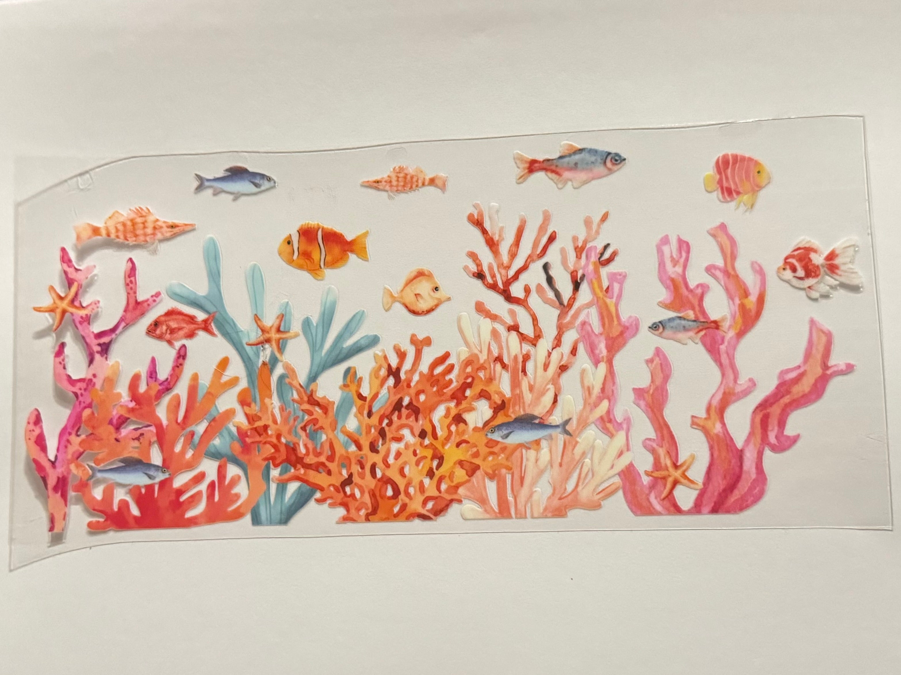 Fish and coral
