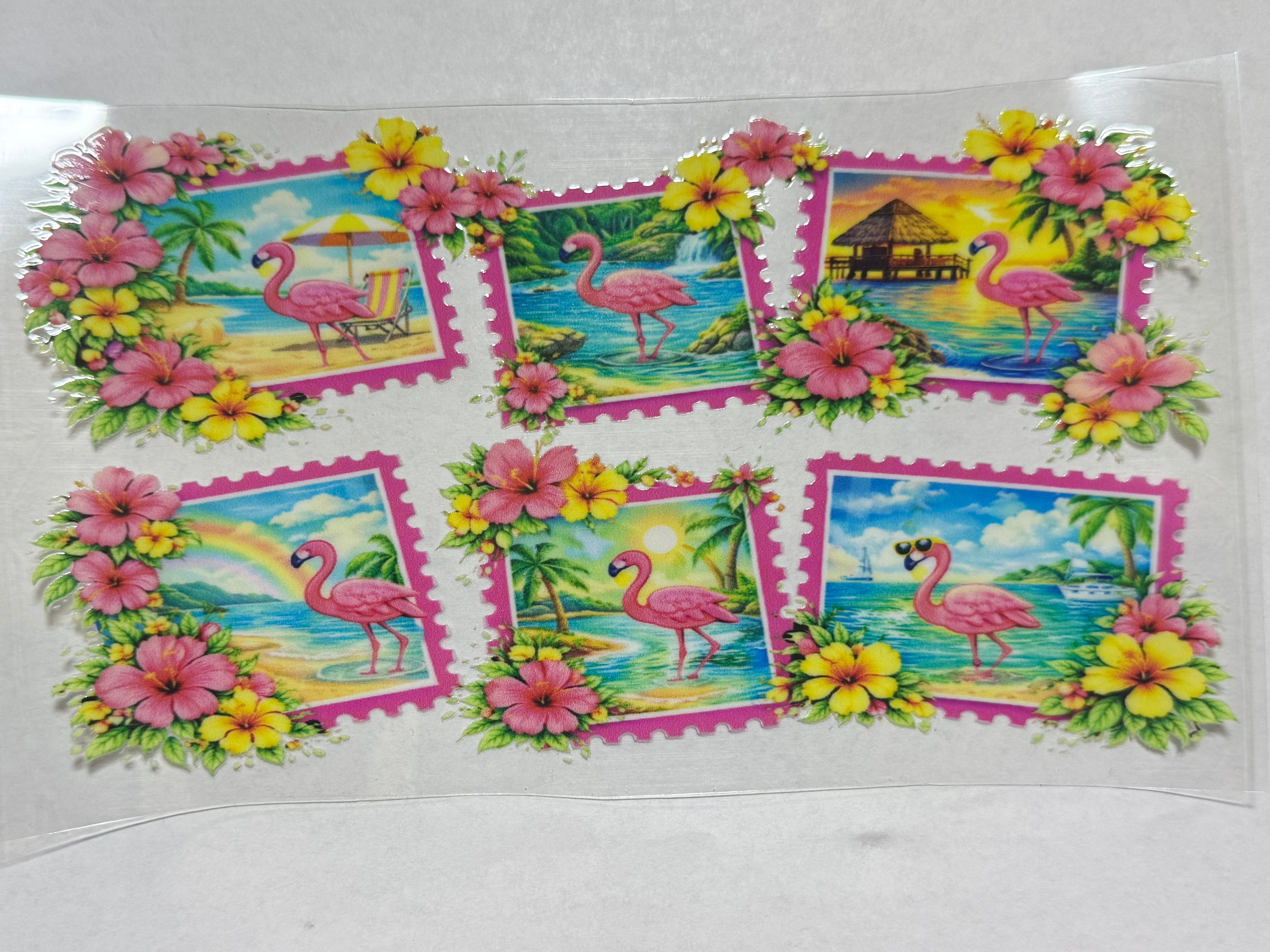 Flamingos