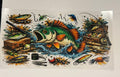 Fish and lures