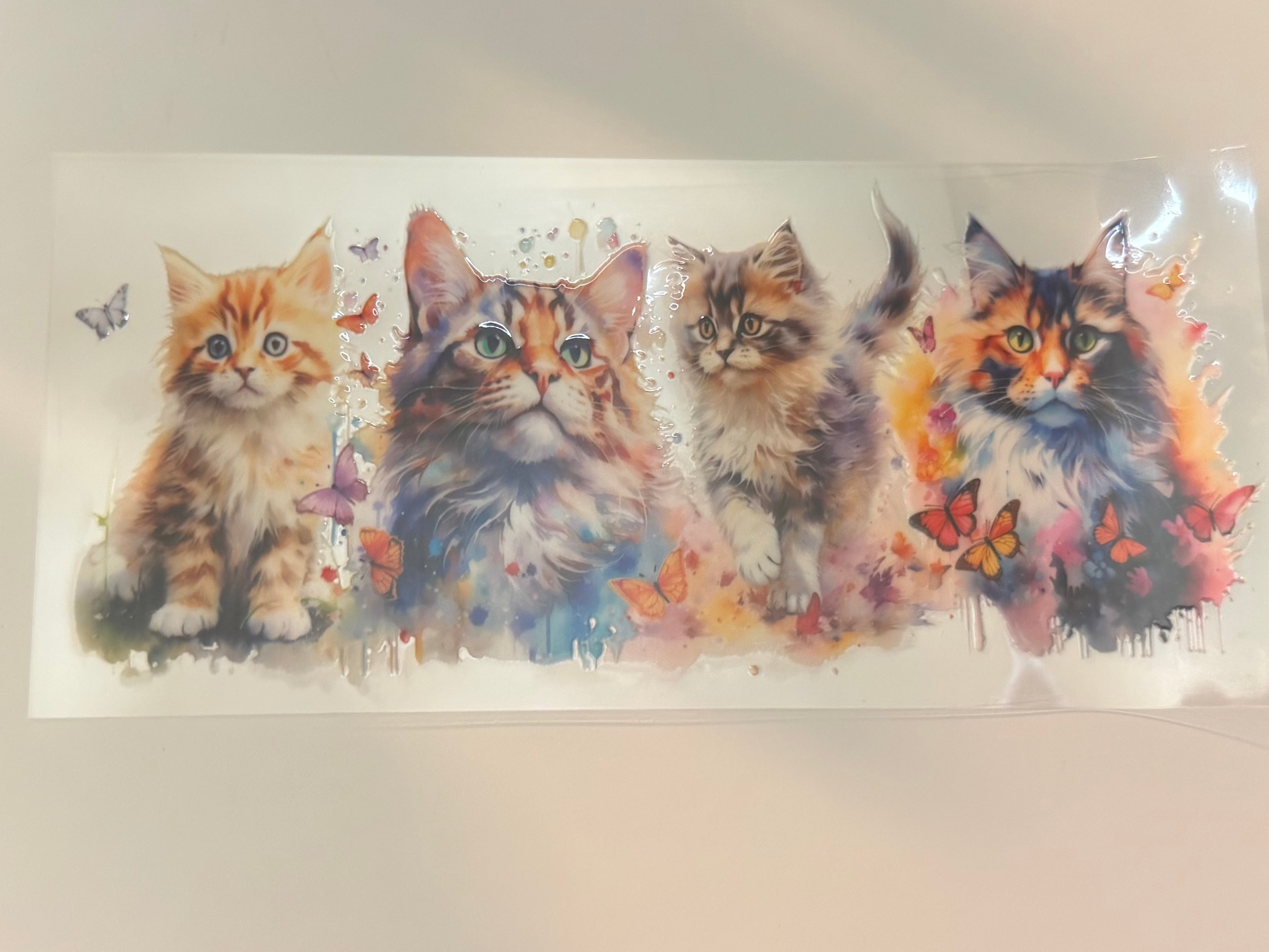 Cats