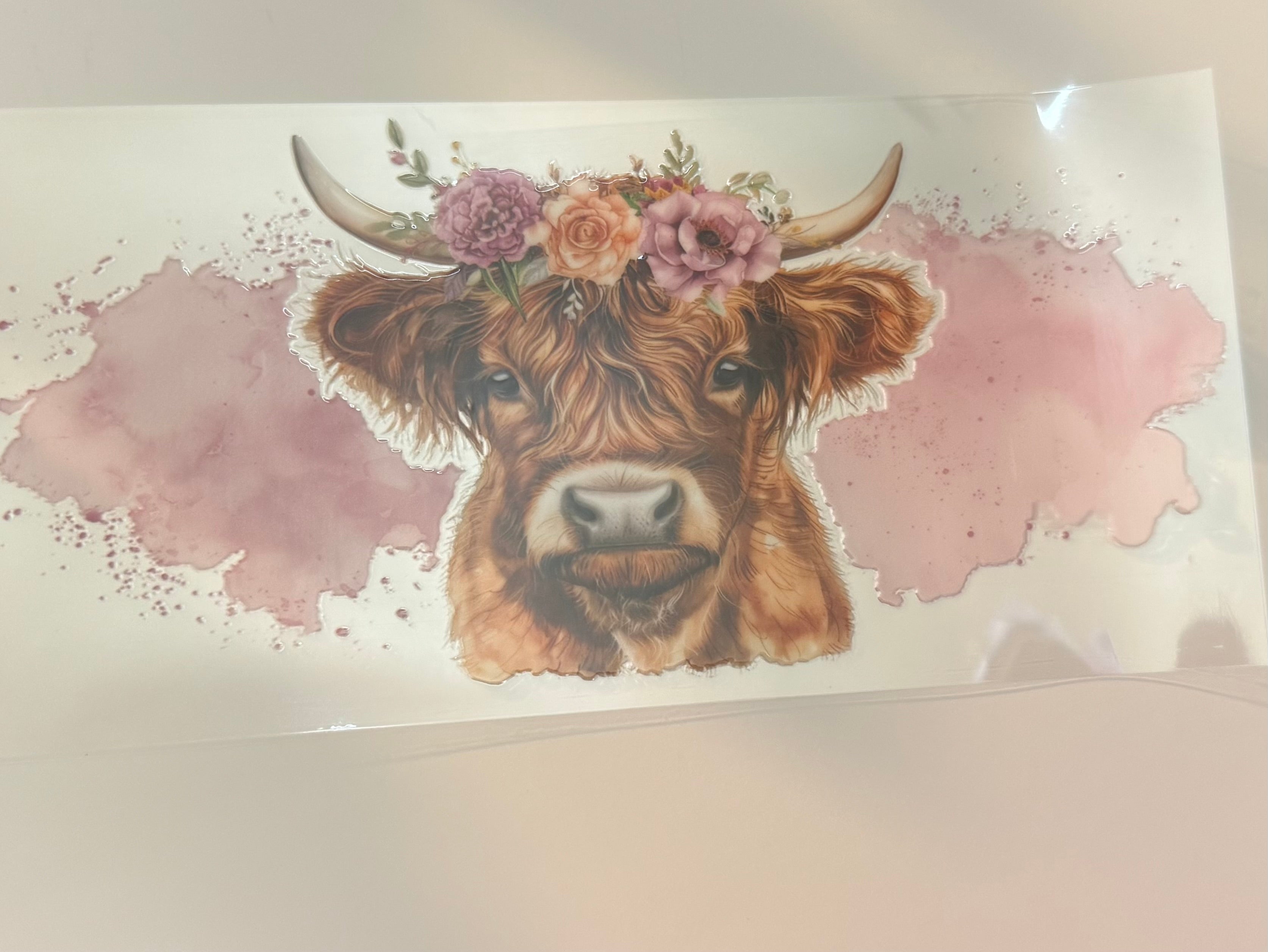 Highland cow pink